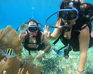 Save 8.01%! Cozumel Entdecken Sie das Tauchen im Chankanaab Marine Park