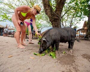 Save 10.00%! Schnorchelausflug zu den Koh Samui-Inseln mit dem Schnellboot