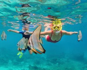 Save 5.00%! Roatan Schnorchelabenteuer und Beach Day Pass
