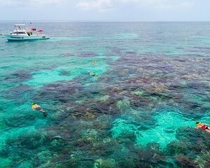 Save 5.00%! Key Largo Schnorcheltour - Leihmaske, Flossen und Weste INKLUSIVE