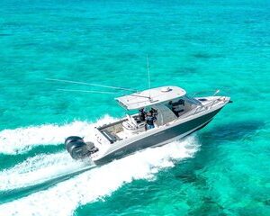 Save 20.00%! Halbtägiger privater Stingray City-Charter – Grand Cayman – BTC