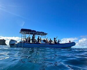 Save 10.01%! Das beste 2-stündige Molokini-Express-Schnorcheln