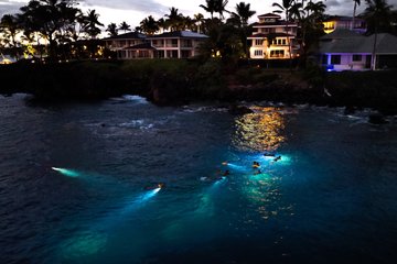 Save 21.00%! Turtle Town After Dark : Schnorcheln mit Lichtern & Sternen