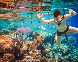 Save 19.99%! Cabo San Lucas Bootstour und Schnorcheln am Pelican Rock