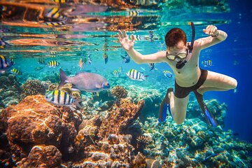 Save 19.99%! Cabo San Lucas Bootstour und Schnorcheln am Pelican Rock