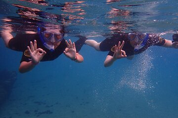 Save 15.00%! Schnorcheln auf Lanzarote mit Guide