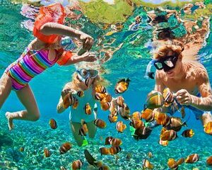 Save 17.00%! Nizuc Reef Schnorchel Erfahrung