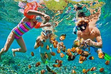 Save 17.00%! Nizuc Reef Schnorchel Erfahrung