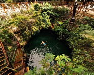 Save 11.00%! 3 versteckte Cenotes Erlebnis & Puerto Morelos Riff Schnorcheln