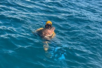Save 10.00%! Halbtägiges privates Speerfischen am Riff in Manuel Antonio