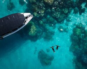 Save 20.00%! Great Barrier Reef Kleine Gruppe Schnorchelabenteuer