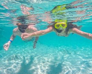 Save 20.00%! Koh Tao und Nang Yuan 5 Spot Schnorcheln mit Mittagessen
