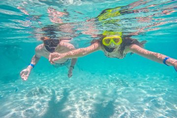 Save 20.00%! Koh Tao und Nang Yuan 5 Spot Schnorcheln mit Mittagessen