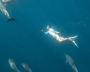 Save 15.00%! Private Speedboat Tour : Schwimmen mit Delfinen, Schnorcheln - Hurghada