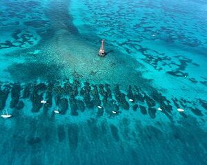 Save 20.01%! Schnorcheln und Sandbar Combo Abenteuer in Islamorada