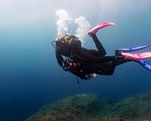 Save 21.00%! Entdecken Sie Taucherlebnis auf Madeira für Anfänger