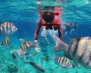 Save 15.01%! Clearboat : Glasbodenbootfahrt in Cozumel