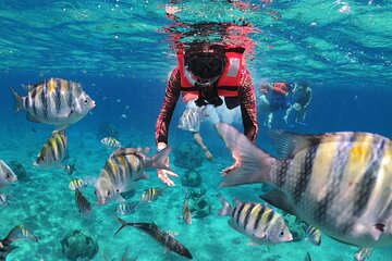 Save 15.01%! Clearboat : Glasbodenbootfahrt in Cozumel