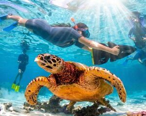Save 10.00%! Sea Scooter Jet Snorkeling : Haie, Rochen und Korallengärten