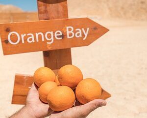 Save 9.99%! Von Hurghada: Orange Bay Schnorchelausflug mit Mittagessen