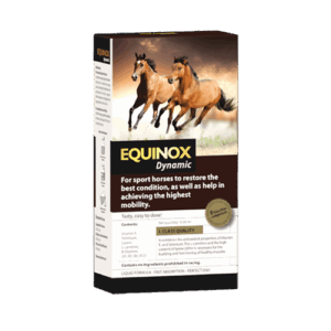 EQUINOX Dynamic