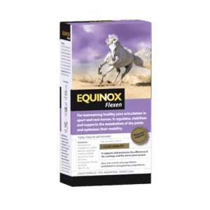 EQUINOX Flexen