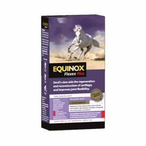 EQUINOX Flexen Plus