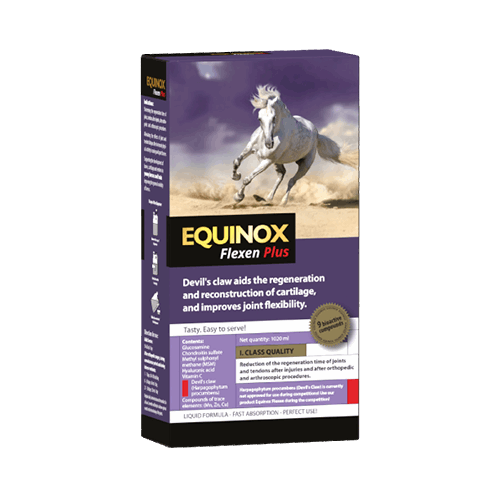 EQUINOX Flexen Plus