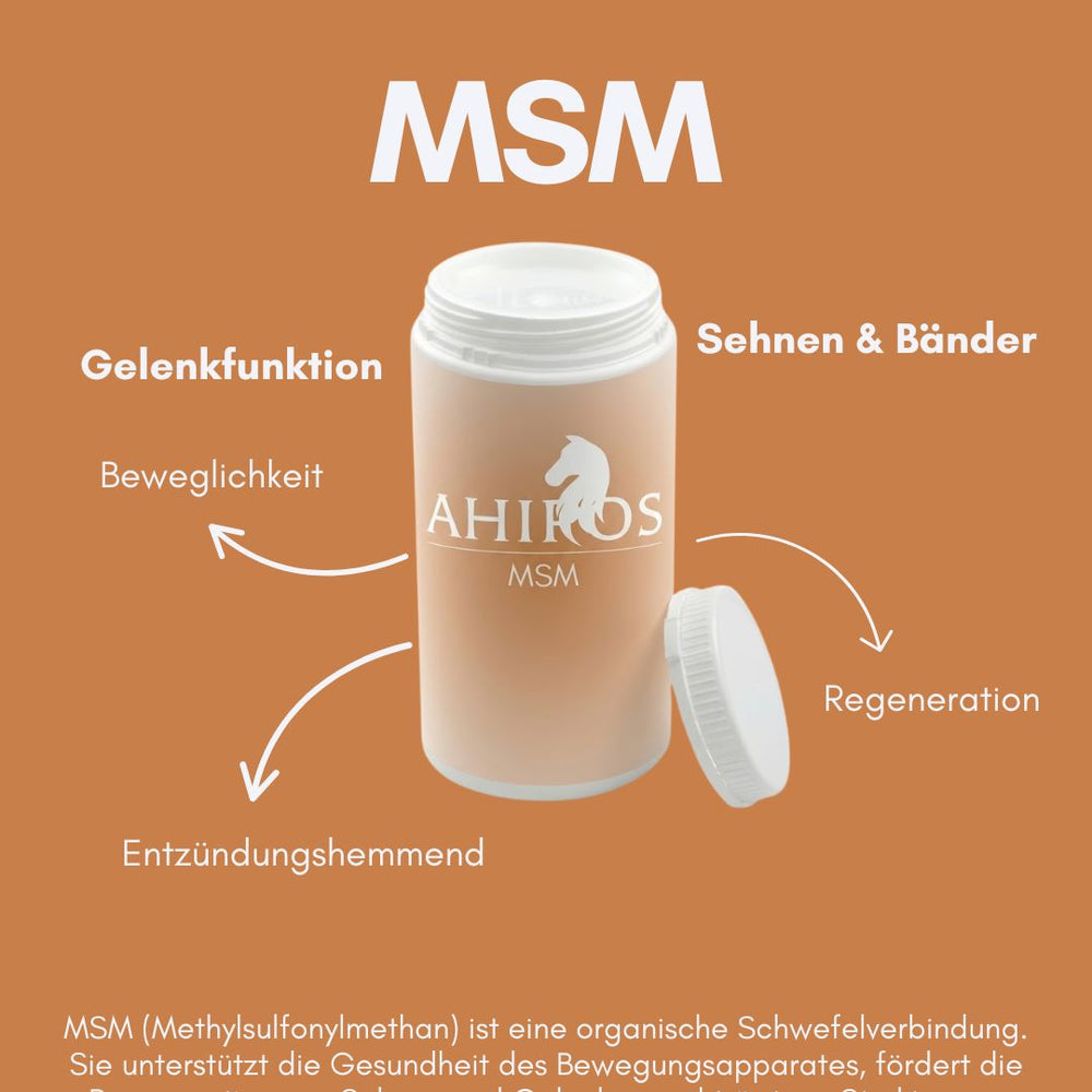 AHIPOS HORSES - MSM