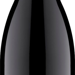 Tolpuddle Vineyard Pinot Noir 2024
